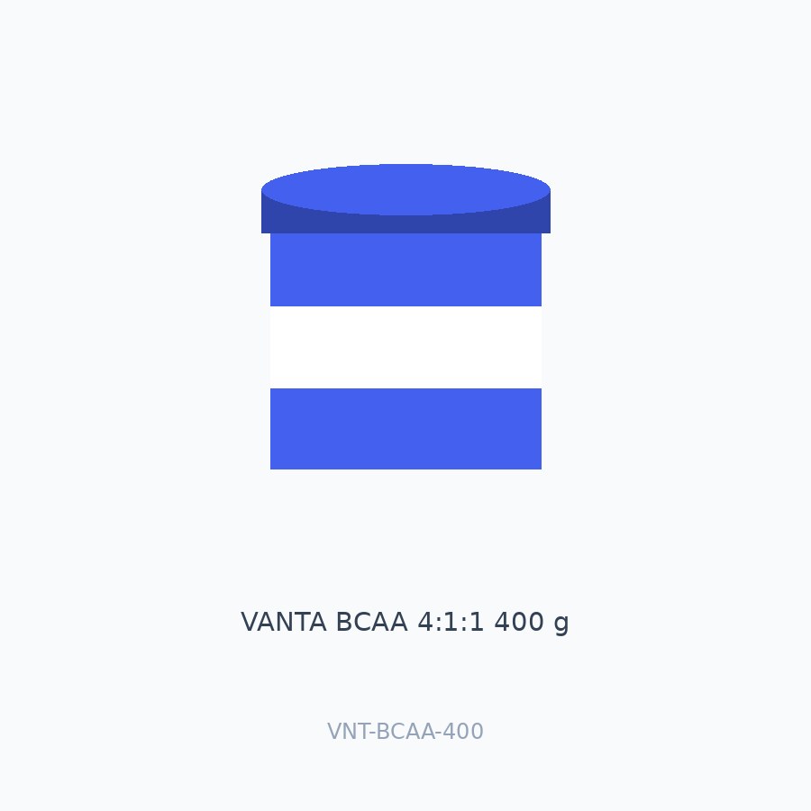 VANTA BCAA 4:1:1 400 g